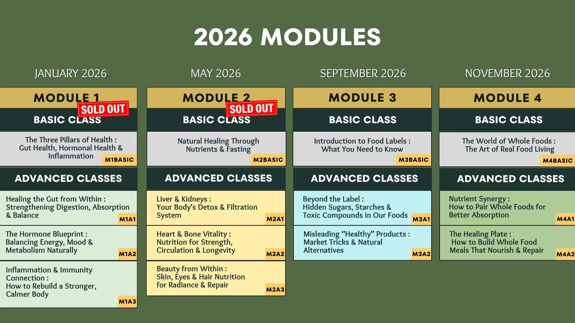 Sold Out M1 M2 WEBSITE - 2026 MODULES